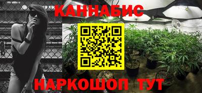 бошки Гай