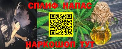 бошки Гатчина