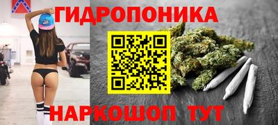 бошки Гатчина