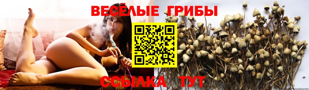 Галлюциногенные грибы мицелий  Вход с VPN  Новокуйбышевск 